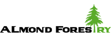 Almond Foresty Logo